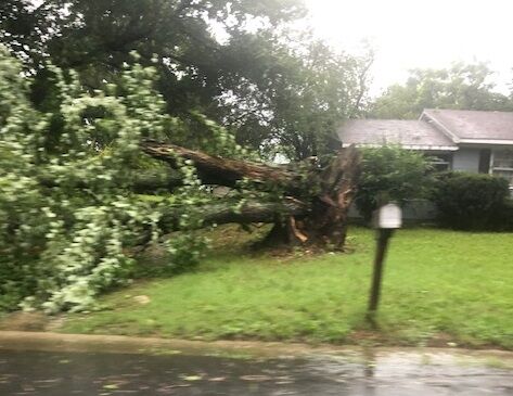 Tropical Storm Isaias Brings Tornadoes With it to Delmarva